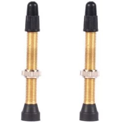 WTB TCS Presta Valve 46mm Brass 2017 | Valve Caps & Adaptors
