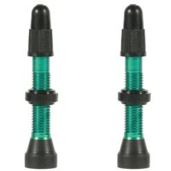 WTB TCS Presta Valve 34mm Green 2017 | Valve Caps & Adaptors