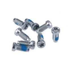 SRAM Crank Bolt Kit Removable Spider Mounting Torx T20 2022 | Bolts